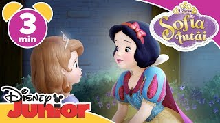 Sofia Întâi Albă Ca Zăpada O Ajută Pe Sofia Să Aibă Încredere În Ea