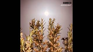 Cloud 22 - Moonlight - Official Audio News