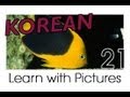 Learn Korean - Marine Animals Vocabulary