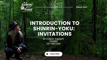 Alchemy of the Forest | Introduction to Forest Bathing: Invitations