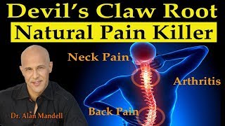 Devil's Claw Root - Natures Super Pain Killer for Neck/Back Pain, Arthritis, Joint Pain