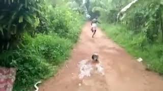 Funny Comedy Jangal Me Mangal