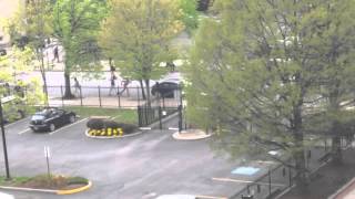 Baltimore Riots - Looting on North Eutaw