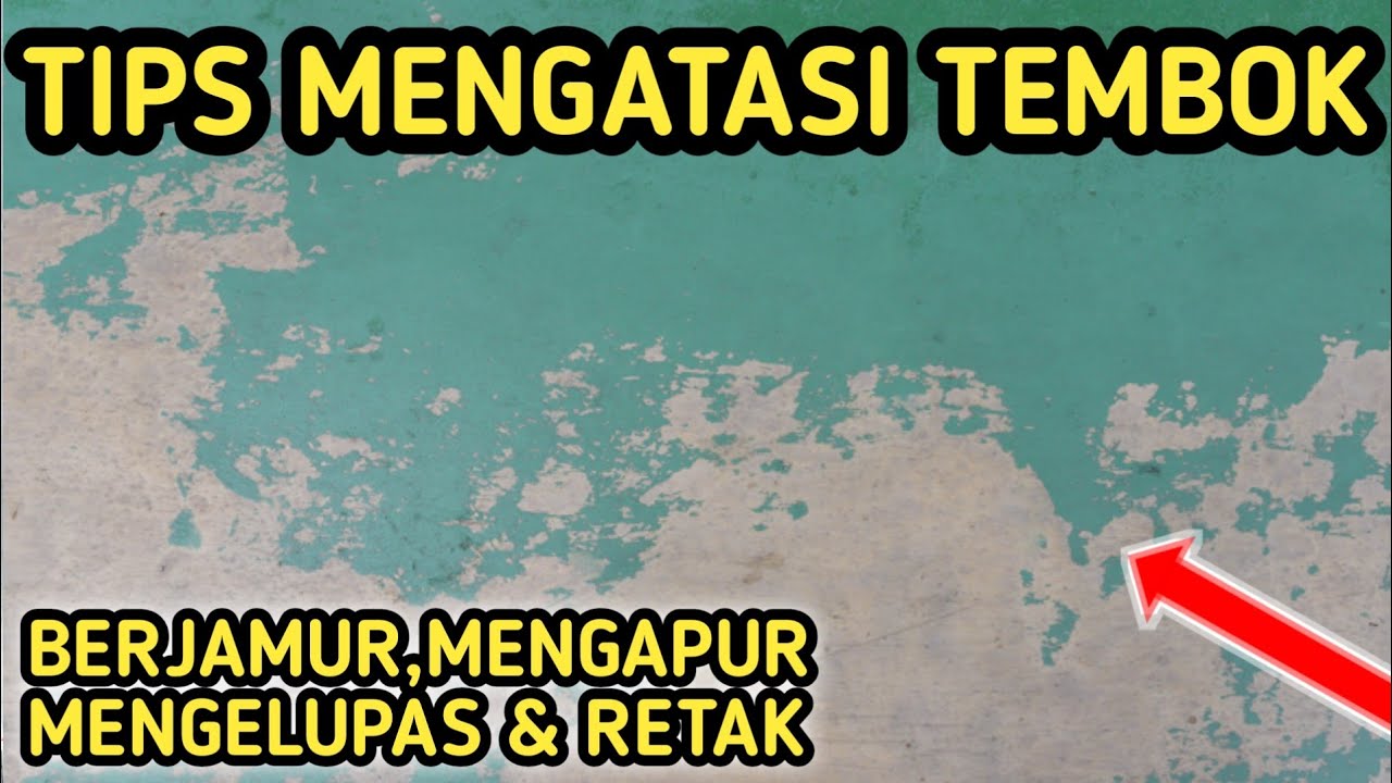 CARA MENGATASI CAT TEMBOK YANG MENGELUPAS DAN CARA MENGATASI CAT TEMBOK YANG MENGELUPAS DAN