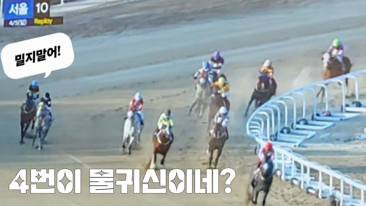 억울한10번마 이리치이고 저리치이고 하다가 꼴등~ 쩝(서울경마 하이라이트)
