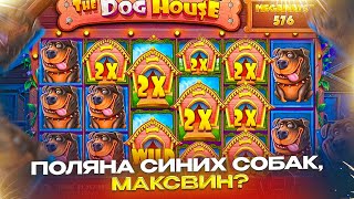 Я МИЛЛИОНЕР В КУБЕ ??? ПОЙМАЛ ОГРОМНЫЙ МИЛЛИОННЫЙ ЗАНОС В THE DOG HOUSE MULTIHOLD ! ЧАСТЬ 3 !!!