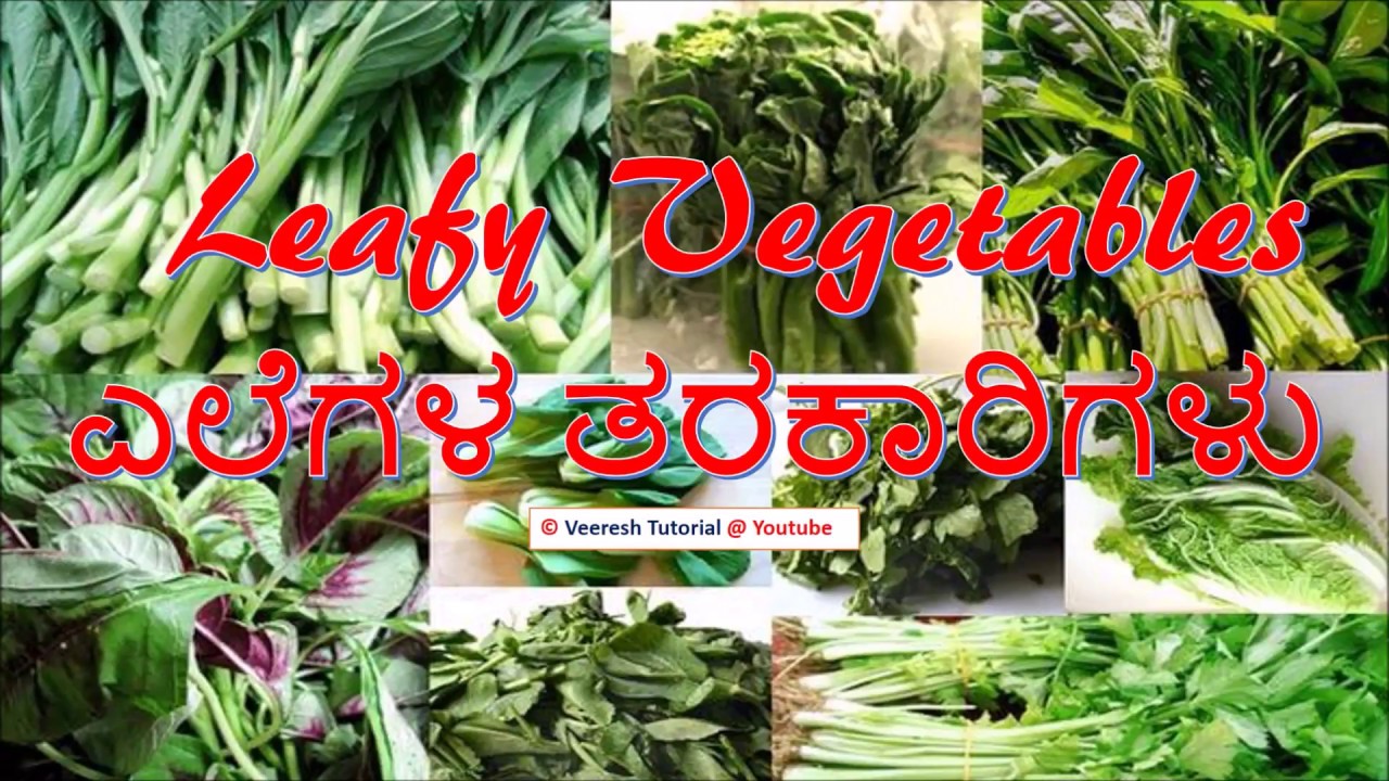 4.Leafy vegetables (ಎಲೆಗಳ ತರಕಾರಿಗಳು)Agriculture Practical Test YouTube