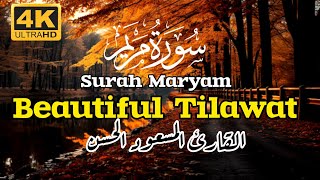 Surah Maryam Relaxing Recitation || سورۃ مریم تلاوت || BY Hafiz Masood Ul Hussan
