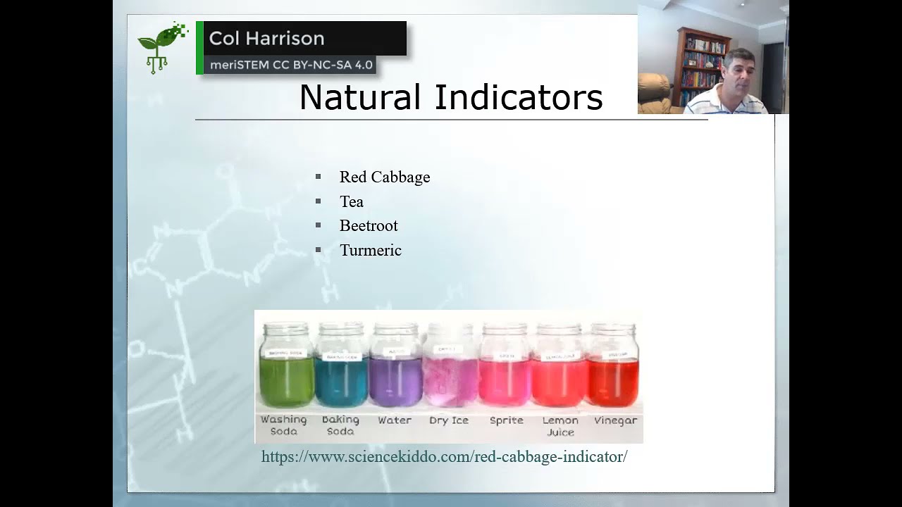 ⁣Natural Indicators | Acids and bases | meriSTEM