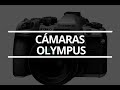 142 - ¿Qué cámara Olympus comprar en 2021?