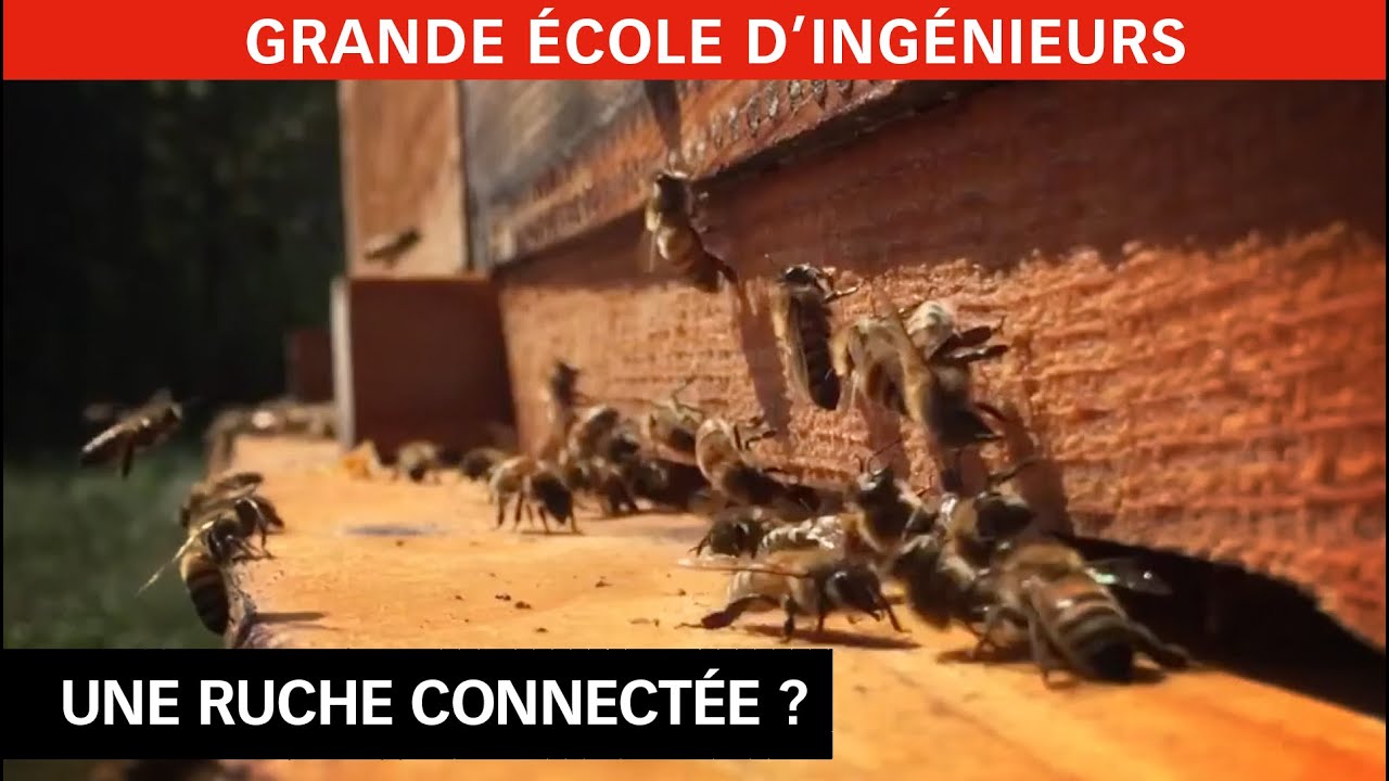 Devenir ingénieur Agronomie / Technologies de l'environnement