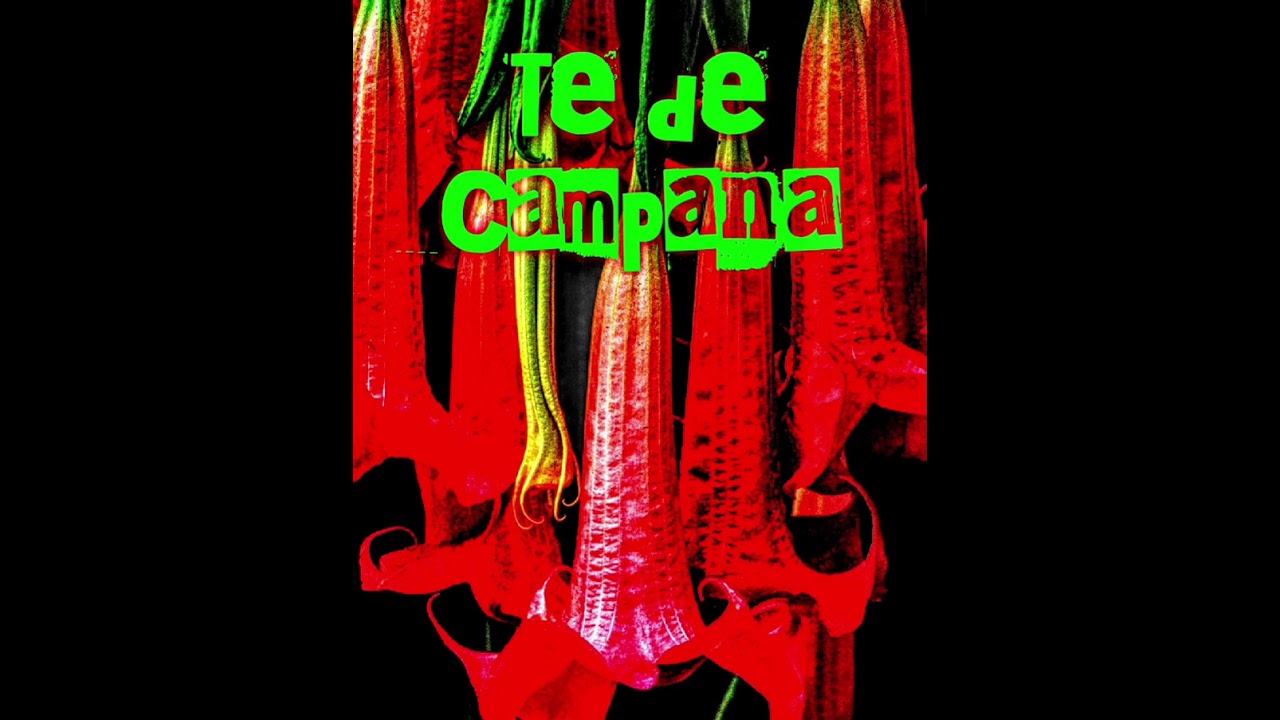 Mista Sandman... Te de Campana (Jezebel)