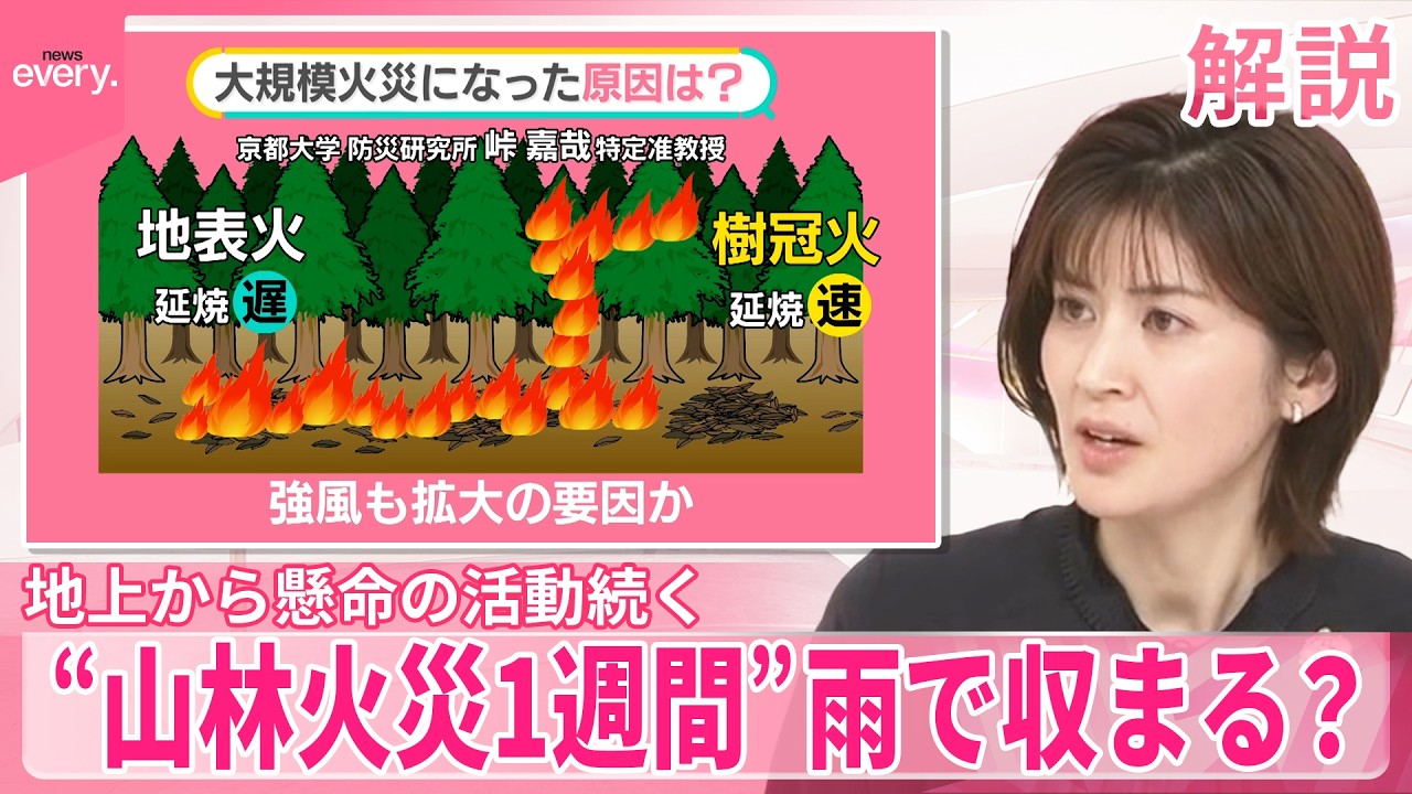 【大船渡山林火災】発生から1週間  雨が消火の助けに…？  大規模火災になった原因は【#みんなのギモン】