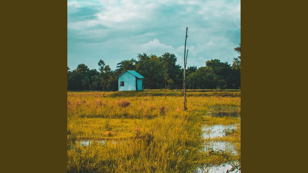 Haba Rock Records Shazam