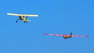 WILGA and HABICHT Aerobatic Glider Aerotow