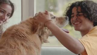 FibreGuard is the ultimate life-friendly fabric