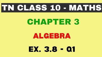 10th Maths | Chapter 3 | Algebra | Exercise 3.8 - Q1 | Maths Clock | TN Class10