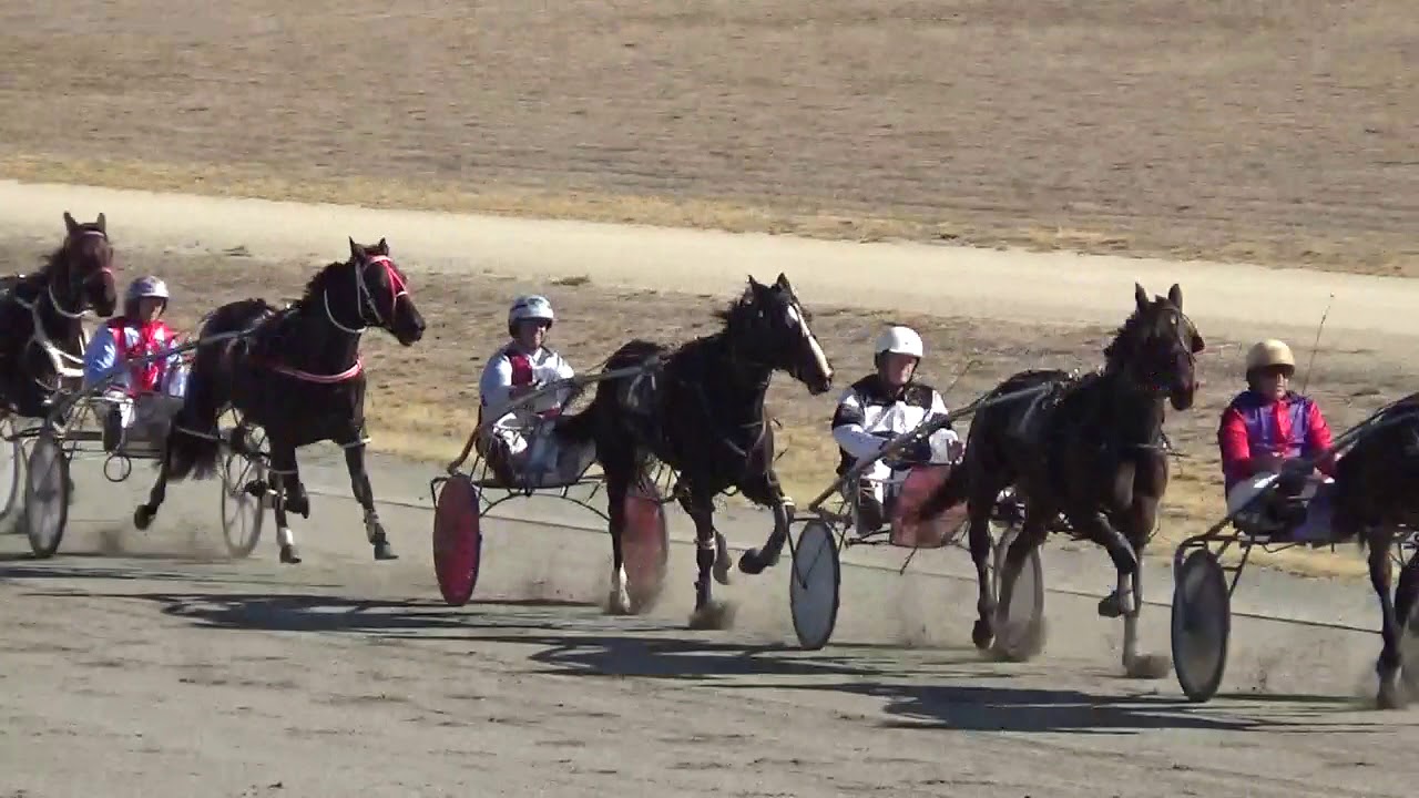 Cobram Harness Racing Trial 1 22042018 YouTube