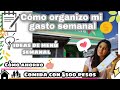 Cómo organizo mi gasto semanal | menú economíco con 500 pesos |  Ale García ✨