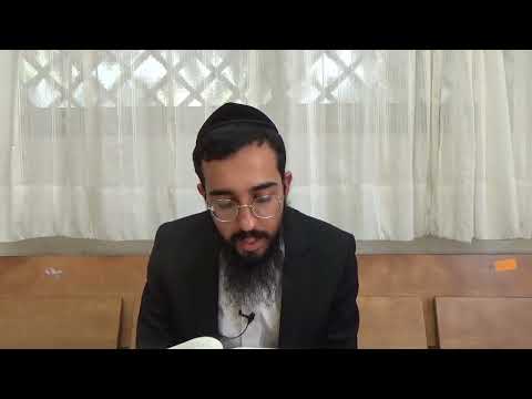 מהם הנפש רוח נשמה חיה יחידה שבאדם? | שער טנת"א פרק ב חלק ב | אוצרות חיים המפורש | הרב עמרם