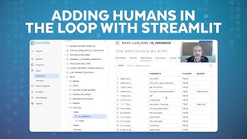 How To Add Human Feedback Into A Streamlit Application To Evaluate AI Outputs