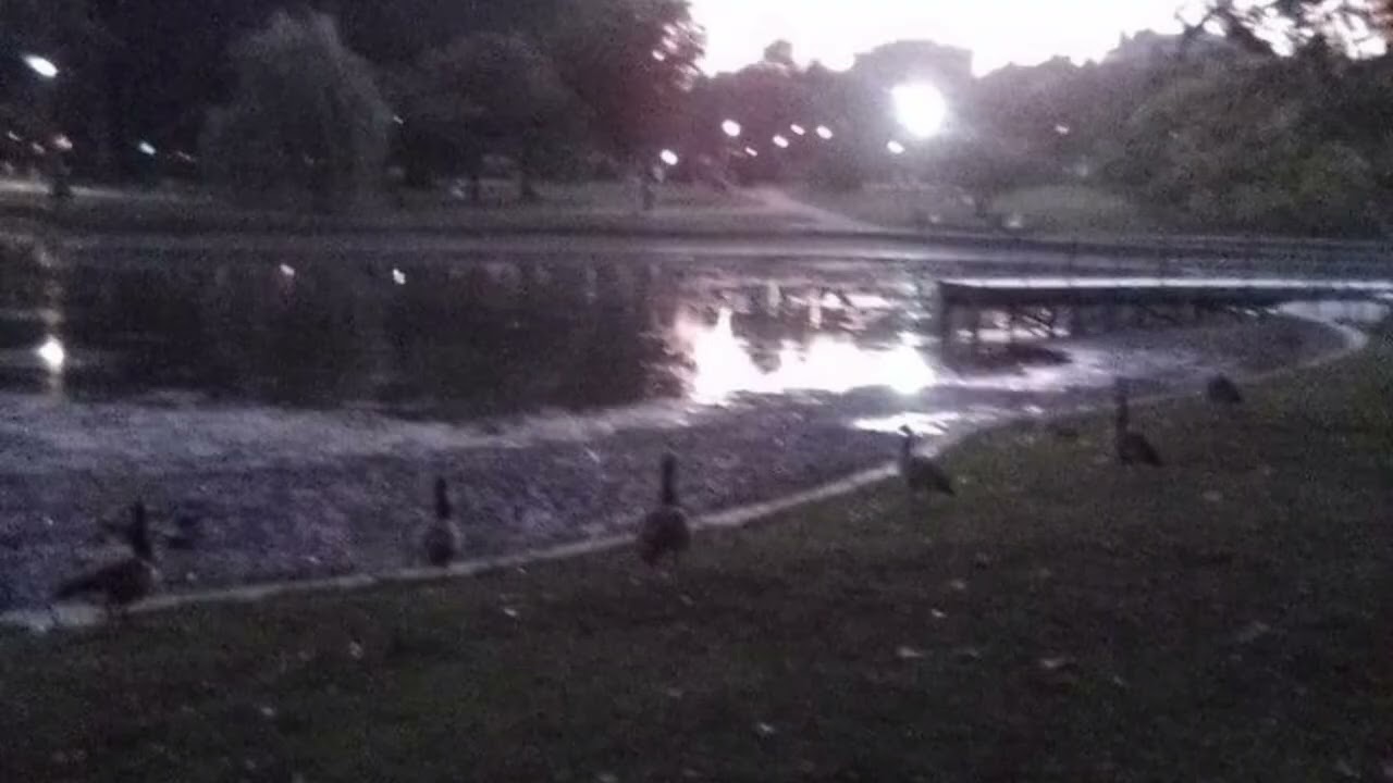 The fray - How to save a life slowed and reverbed