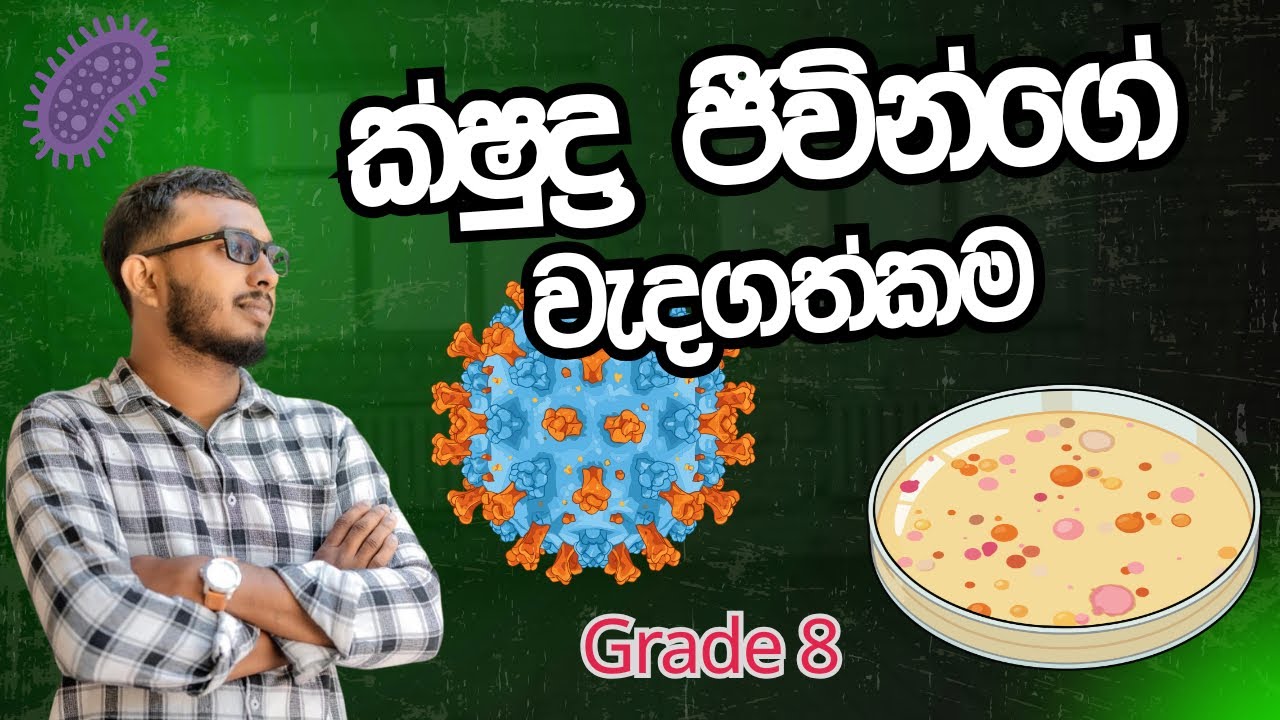 ක්ෂුද්‍ර ජීවීන්ගේ වැදගත්කම 1  8 ශ්‍රේණිය