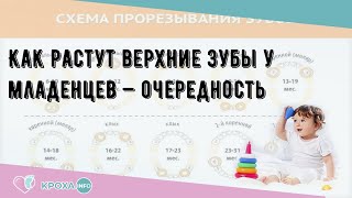 Как растут верхние зубы у младенцев — очередность