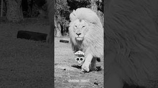 all animal transformation video #genztroll #funny #animation #viralvideo #lion #vfxanimation