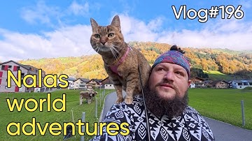 Vlog#196 - Cycling the Klausenpass with Nala cat 🐱❤️