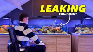 How I Maintain ALL my Reef Tanks: Aquarium Maintenance - Fish Room Update Ep. 2 by Danny's Aquariums 13,965 views 4 months ago 24 minutes