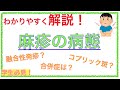 教科書をわかりやすく！「麻疹ってどんな病態？」風疹との違いや国試過去問をわかりやすく解説！