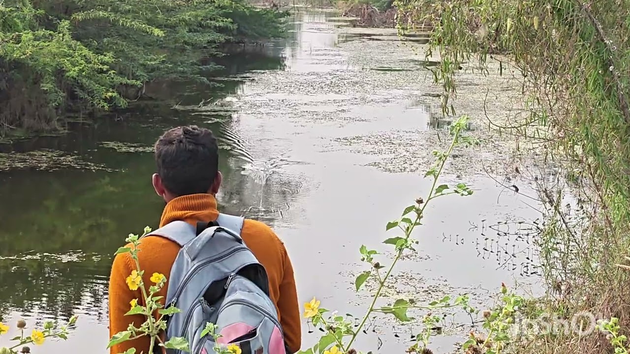 Snake head fishing into strike rocket short.