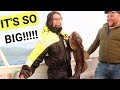 Catching BIG FISH in the ARCTIC CIRCLE!!! (FISHING IN NORWAY)