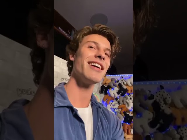 Shawn Mendes (@shawnmendes) archived Instagram live stream from November 18, 2019