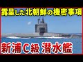 北朝鮮がミサイル発射試験で初歩的ミス？ベールに包まれた新鋭潜水艦「新浦C級潜水艦」