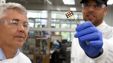 Research with the Shapter Group