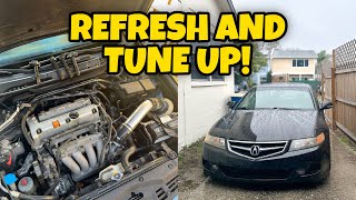 Acura TSX Engine Bay Refresh For The Daily! by Rish 1,258 views 3 months ago 15 minutes