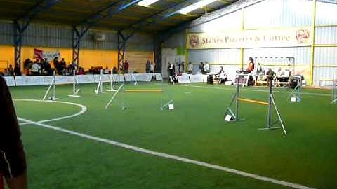 Apache agility run  (14. March 2009)