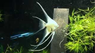 IMG 1924 IMG 1924
