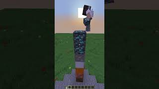MINECRAFT BLOCK TELEPATHY with @Ruinzz_Mc #minecraft #gaming #block #blocktelepathy #funny