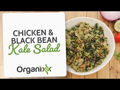 Chicken Black Bean Kale Salad Organixx Recipe