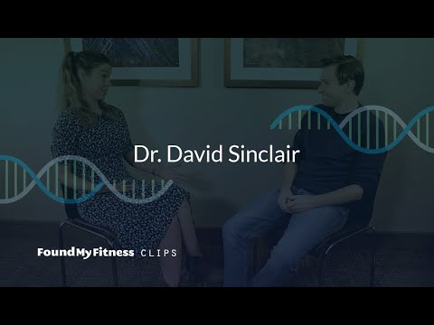 The link between sirtuins, calorie restriction, fasting and the insulin pathway | David Sinclair