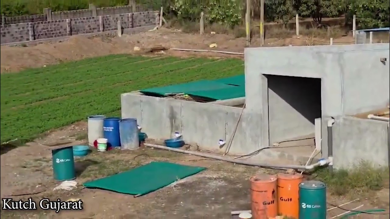 An introduction to a Moringa Leaf Production Farm of JaySan Harvest Pvt Ltd Madhapar Bhuj Ku