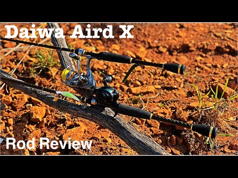 Daiwa Aird X Rod Review, Best $50 Rod
