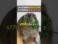 1000年熟成の奇跡の排泄物 47万円の香水の正体 #ほっこりショート #動物 #香水 #雑学