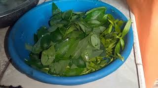Sri lanka Villge foods Mixed leafy veggie Mallum(pala kola Malluma)