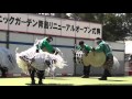 【青島臼太鼓踊り】宮交ボタニックガーデン青島（県立青島亜熱帯植物園）リニューア…