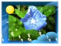 روائع الشيخ عنتر سعيد مسلم سورة المائده والانعام mp3