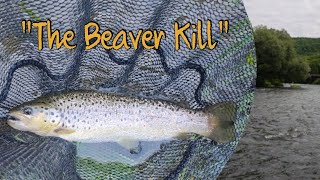 Catskills Fly Fishing "The Beaver Kill"( Catskills Series Part I )